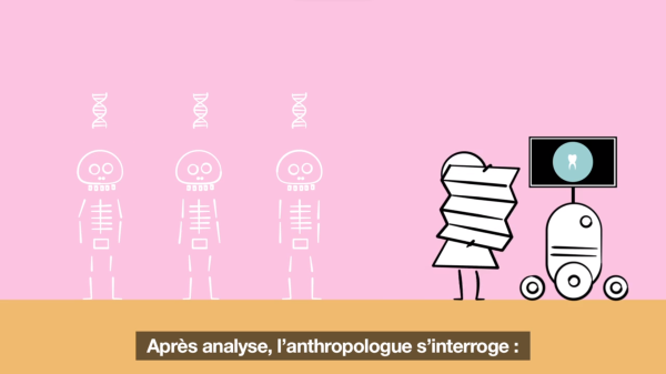 anthropologue_vignette_inrap.png