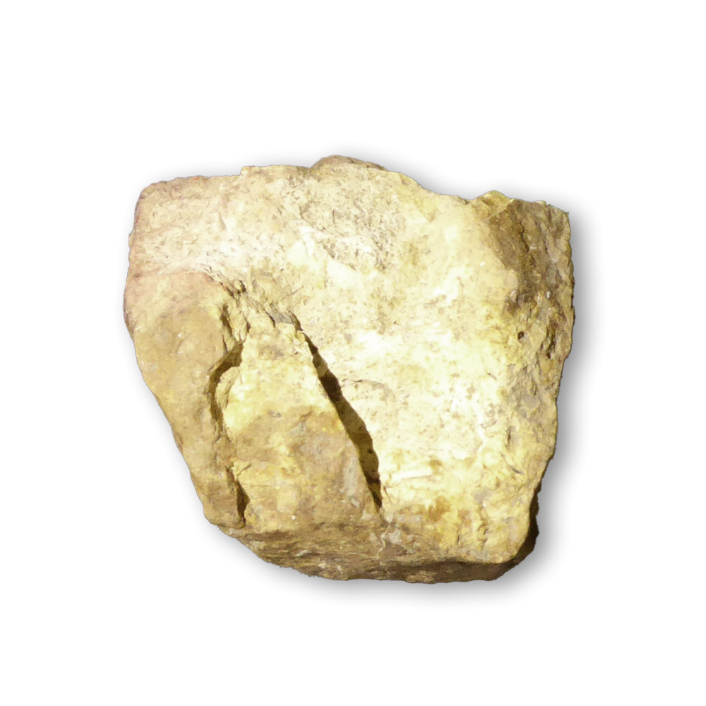 P1050737.png