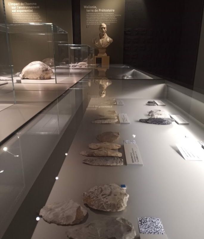 collections_1.jpg