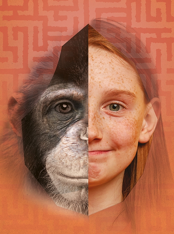 visuel_2026_labyrinthe2.jpg