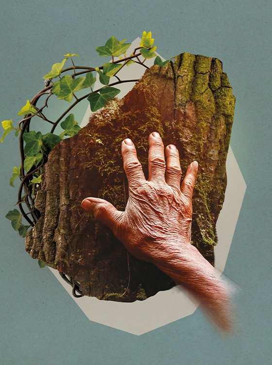 visuel_2026_sensoriel.jpg