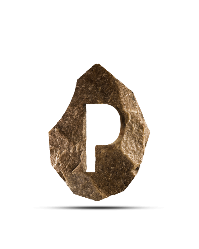 Logo prehisto.png