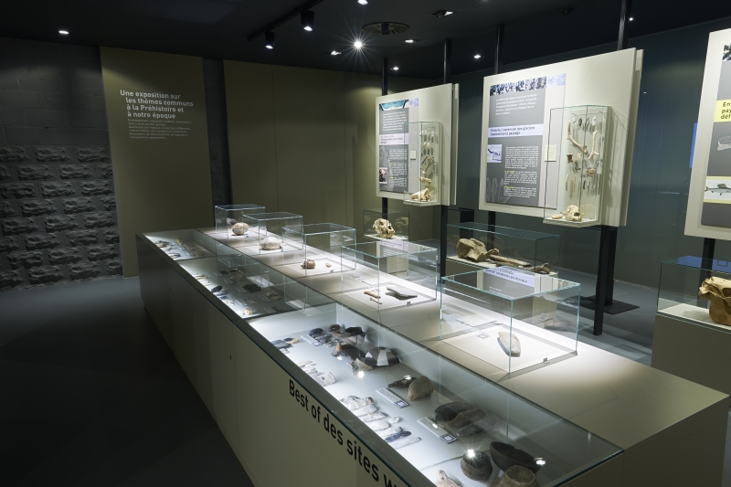 exposition2.jpg