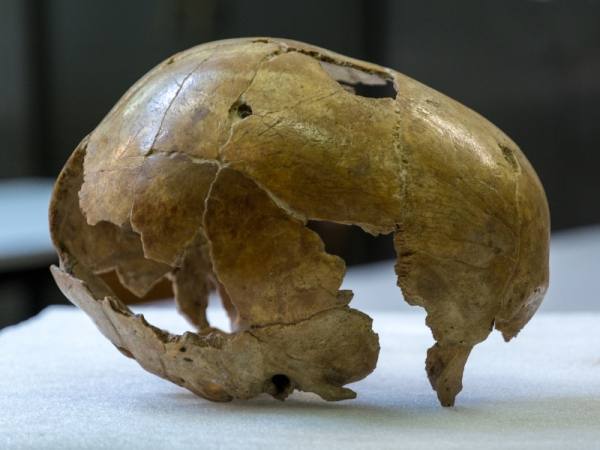 Engis_2_Schaedel_1.jpg